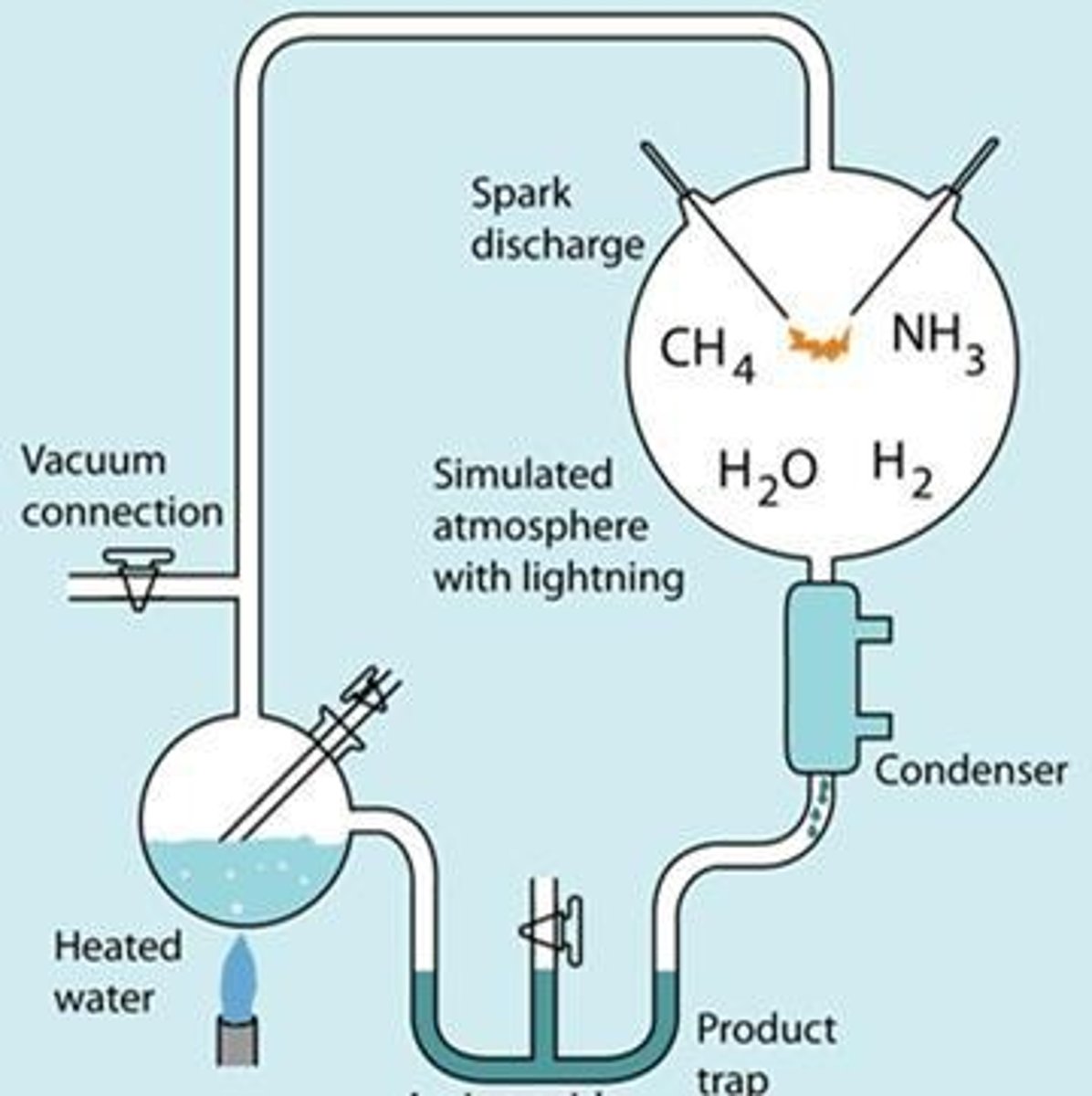 <p>Known as the 'Primordial Soup Theory'; an energy in the form of lightning caused inorganic chemicals to react with one another, creating a soup of organic matter in the ocean that eventually evolved into early forms of life.</p>