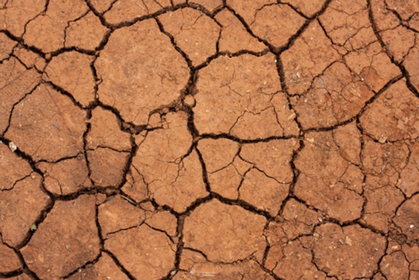 <p>arid, dry</p>