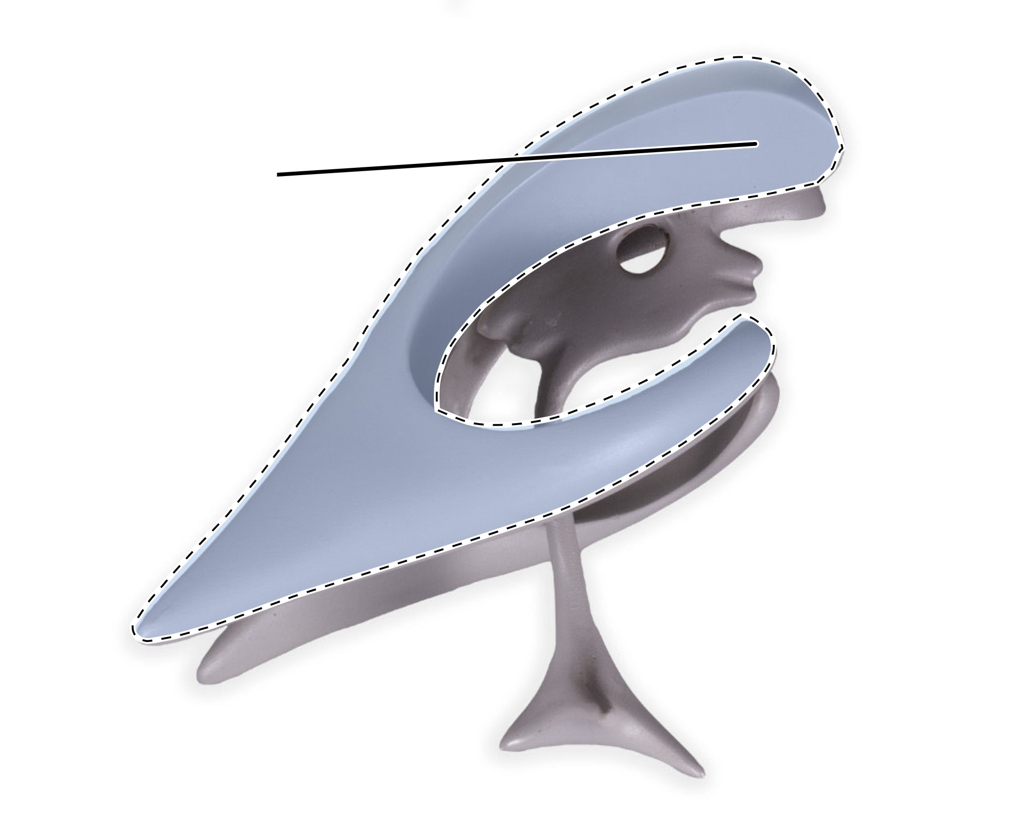 term image