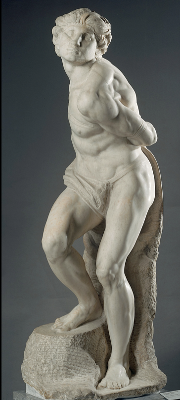 Bound Slave (Rebellious Captive)