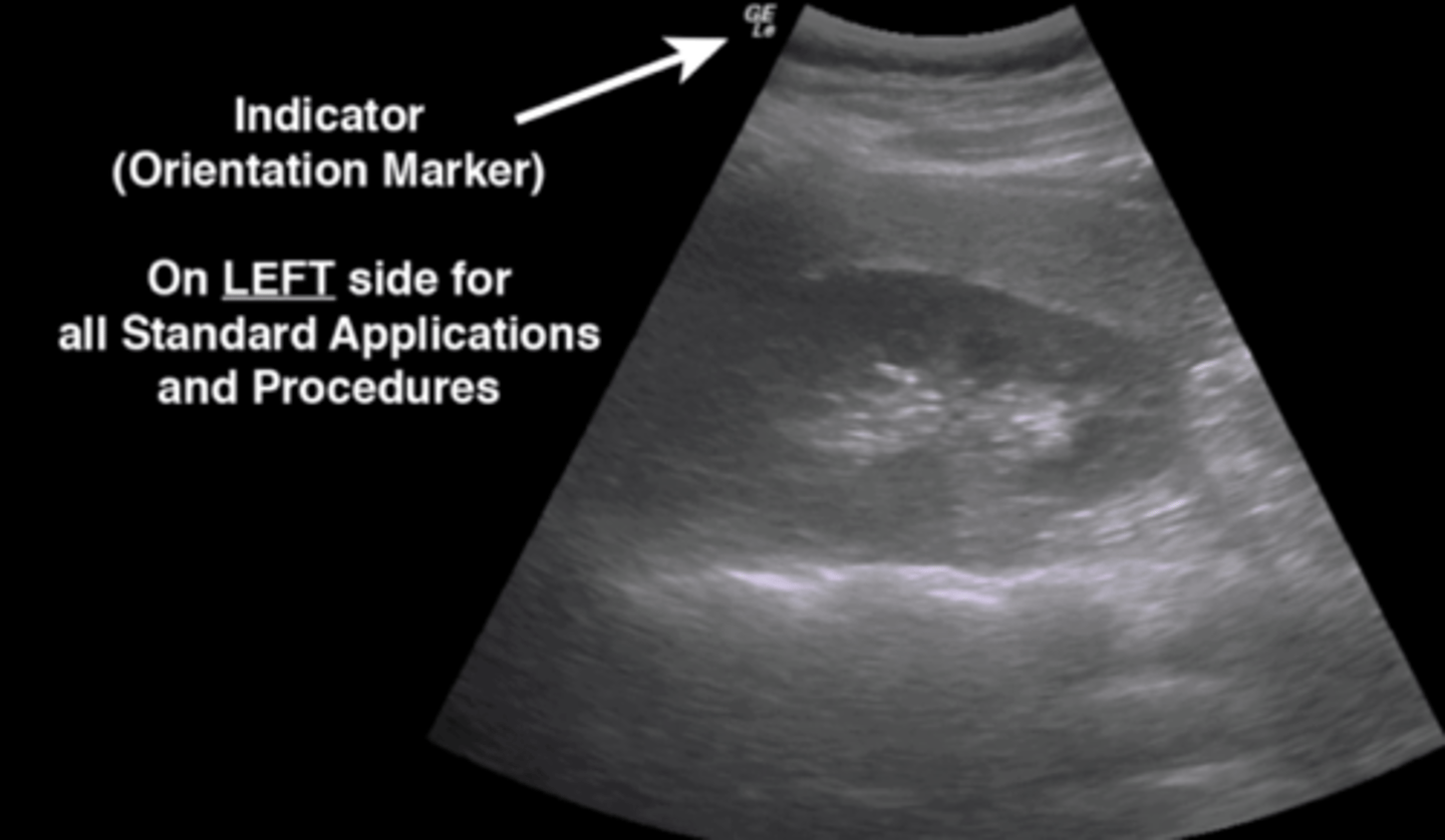 <p>Indicator = orientation marker; tells you right vs. left to orient you to the tissues</p><p>NOTE: on LEFT side for all standard applications and procedures</p>