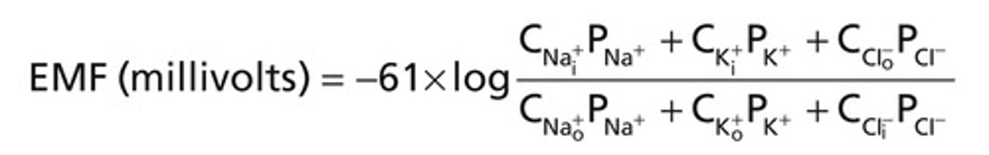 <p>predicts membrane potential that results from the contribution of all ions that can cross the membrane (similar to nernst but w/ permeability factored in)</p>