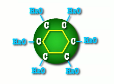 <p>carbon, hydrogen, and oxygen</p>