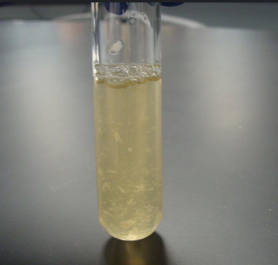 <p>What is shown in this image?</p>