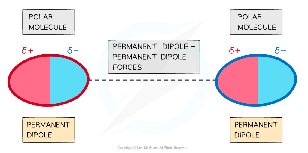 <p>Polar molecules have <strong>permanent</strong> dipoles, meaning the delta positive charge from one molecule will attract the delta negative charge of another molcule</p>