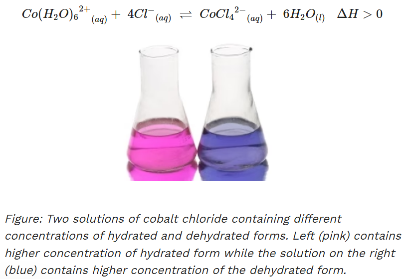 <ul><li><p>Hydrated cobalt ion displays a pink colour whilst cobalt (II) chloride (dehydrated) displays a blue colour. This chemical equilibrium can be easily monitored by the colour change between pink and blue.</p></li><li><p>Pressure and volume do not affect this reaction as there are no gaseous reactants or products.</p></li><li><p>Adding HCl to the solution will initially dilute the solution and make the colour paler. The addition also increases [Cl] which in turn increases the rate of forward reaction and shifts the chemical equilibrium to the right. The solution turns blue.</p></li><li><p>Adding silver nitrate (AgNO3): Ag+ forms a white AgCl precipitate with Cl which decreases [Cl]. The solution quickly turns cloudy white. This change increases the rate of reverse reaction and shifts the chemical equilibrium to the left. Solution turns pink. The pink colour will only be visible after the white precipitate settles to the bottom.</p></li><li><p>Adding distilled water (de-ionised water) increases the volume of the solution, and more importantly increases the amount of H2O in the system. This initially dilutes the solution, making the colour paler. As a result of this, a dilution effect will occur&nbsp;where the addition of solvent will increase the effective volume of the solution. By Le Chatelier's principle, an increase in the volume of the system will shift the chemical equilibrium to the side with more moles (the left side of the equation since&nbsp;H2O&nbsp;does not have a concentration). Solution turns&nbsp;light pink.</p></li><li><p>Heating the solution in a water bath drives the forward reaction (endothermic). This increases the concentration of hydrated form of cobalt ion. Solution turns&nbsp;blue.</p></li><li><p>Cooling the solution in ice drives the&nbsp;reverse reaction (exothermic). This increases the concentration of dehydrated form of cobalt ion. Solution turns&nbsp;pink.</p></li></ul><p></p>