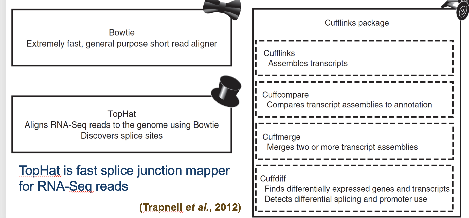 <p>TopHat is used for aligning RNA-seq reads to a reference genome, while Cufflinks is used for assembling transcripts and estimating their expression levels from the aligned reads. </p><p>Both are components of RNA-seq analysis; TopHat allows detection of splicing events, and Cufflinks quantifies transcript expression using the aligned data. </p>