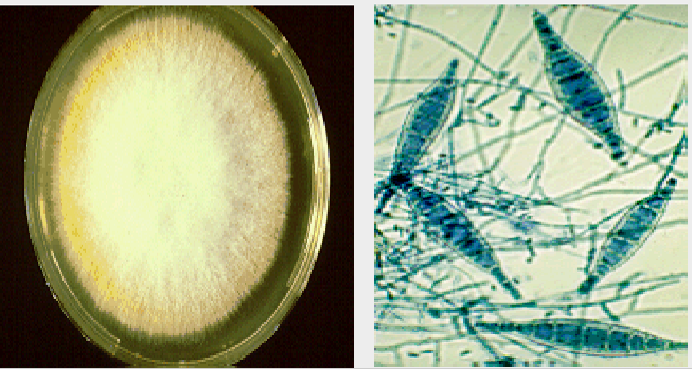 <p>what is this?</p>