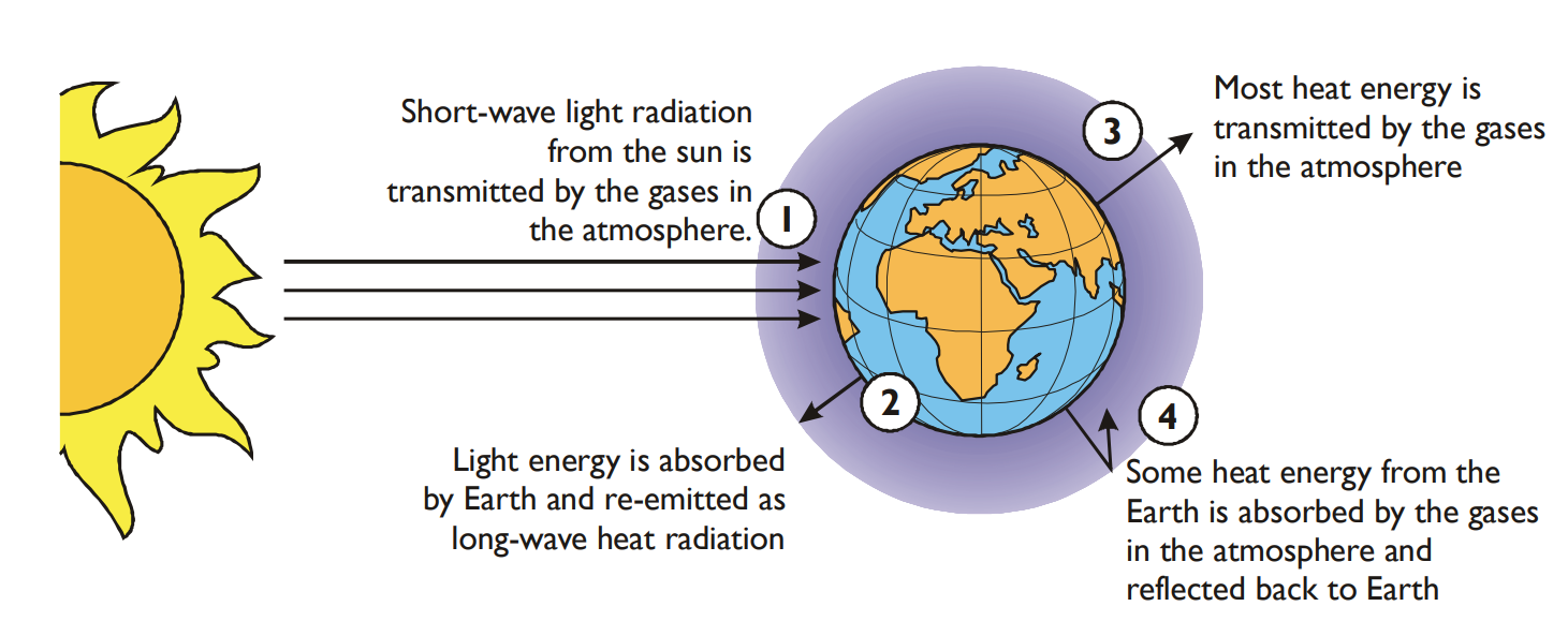 <p>Infrared radiation from the sun is trapped by greenhouse gases (e.g. carbon dioxide &amp; methane), leading to an increase in the temperature of the Earth’s surface &amp; atmosphere&nbsp;→ results in global warming</p>