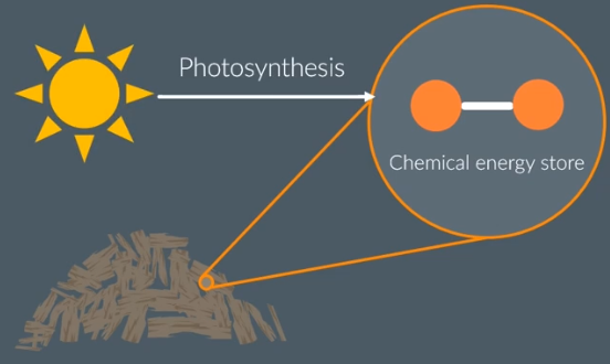 <p>bonds</p><p>photosynthesis</p>