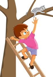 <p>The firefighter was <strong>brave </strong>and <span style="color: purple;">rescued </span>the family</p>