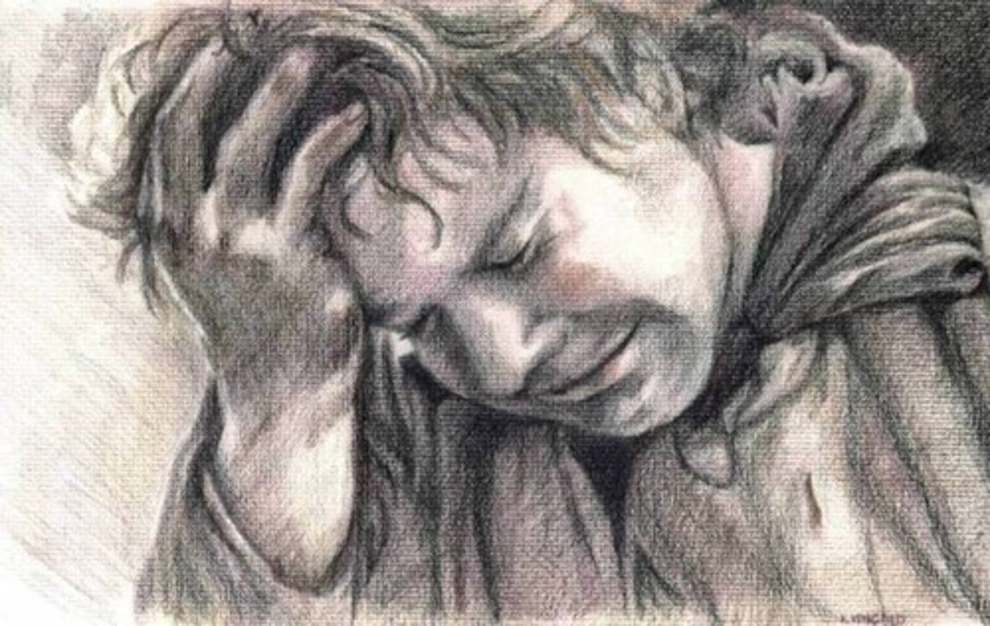 <p>sorrow</p>