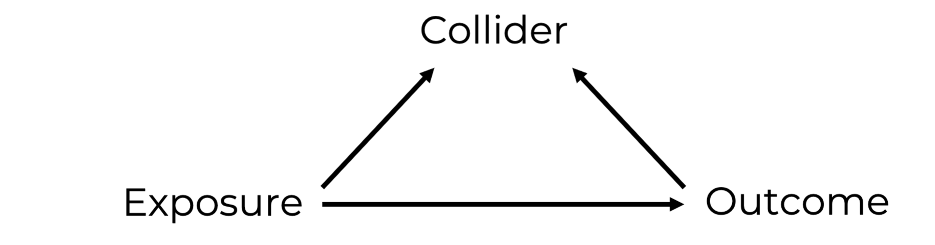 <p>Affected by the exposure and affected by the outcome</p><p>is a common cause of the exposure and outcome.</p><p>Change in both the exposure and outcome lead to changes in the collider</p><p>a consequence of both the exposure and outcome. </p>