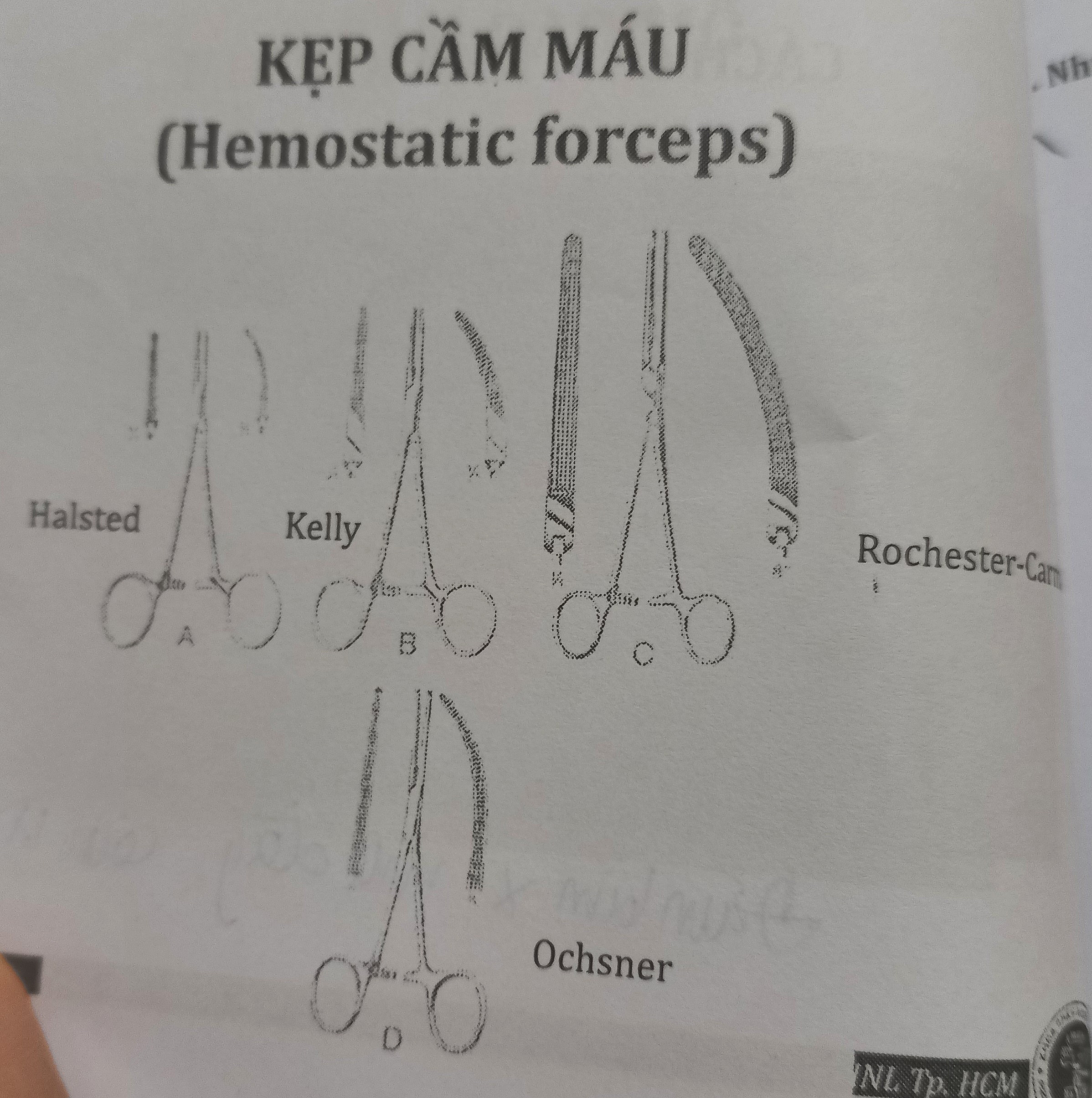 <p>Kẹp cầm máu</p>