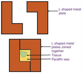<p>Consist of two L-shaped strips of heavy brass of metal arranged on a flat metal plate and which can be moved to adjust the size of the mold to the size of the specimen</p>