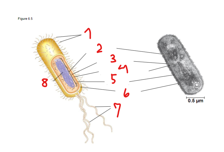 <p>What is 6? What does it do?</p>