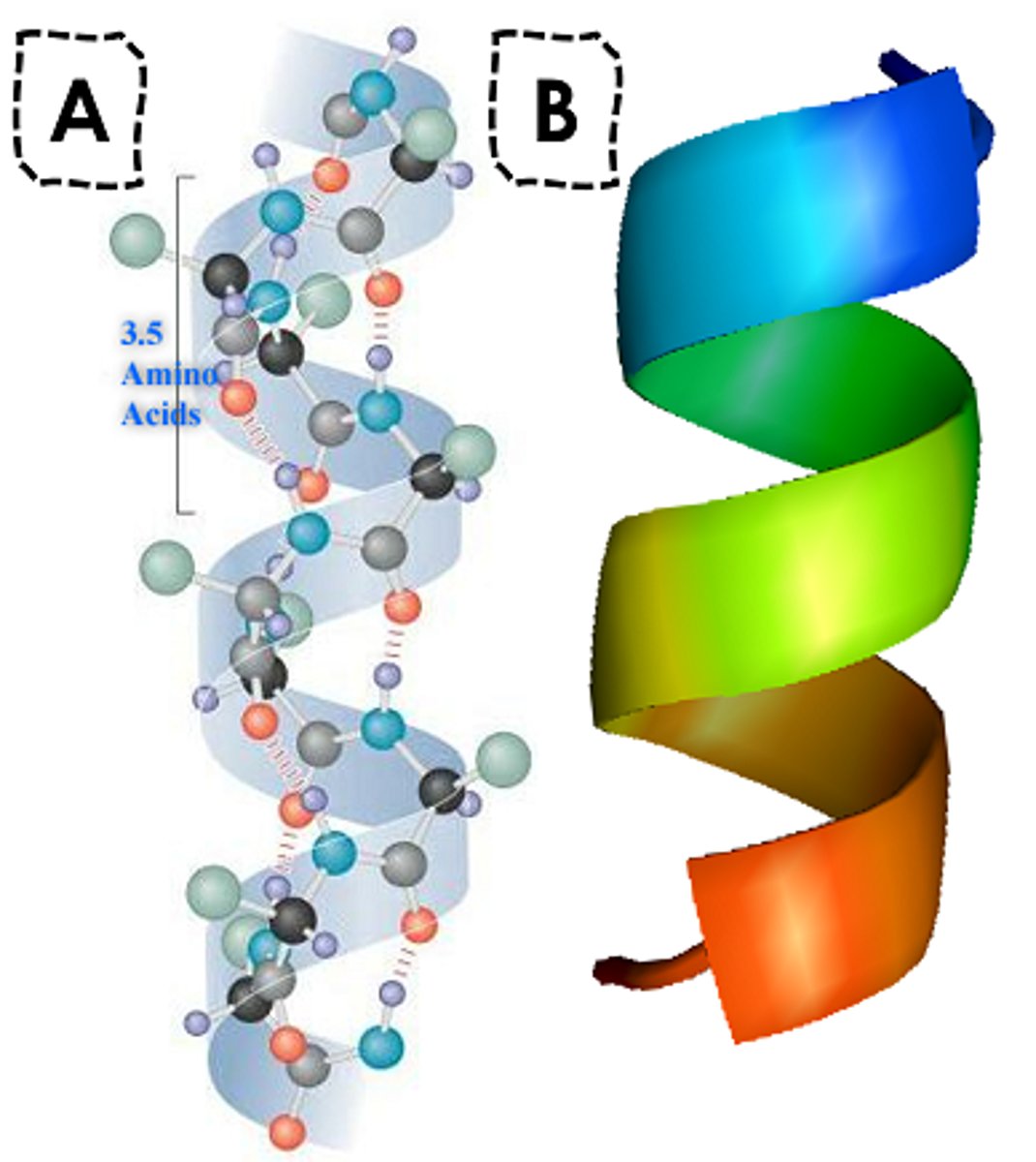<p>what is shown?</p>