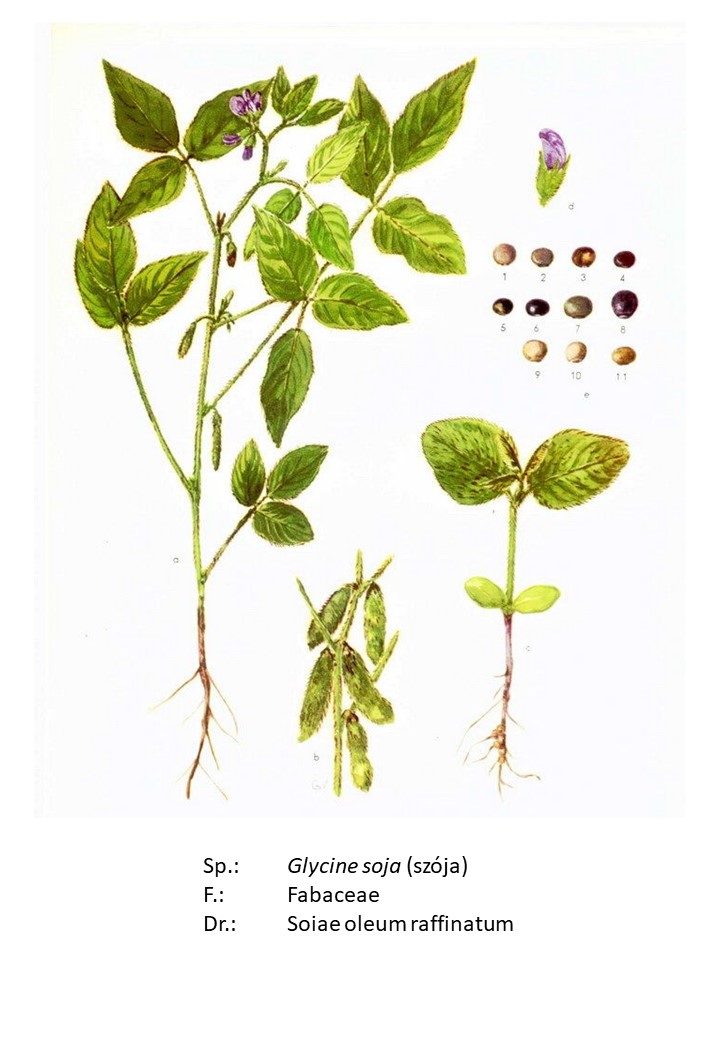 <p>szója</p>