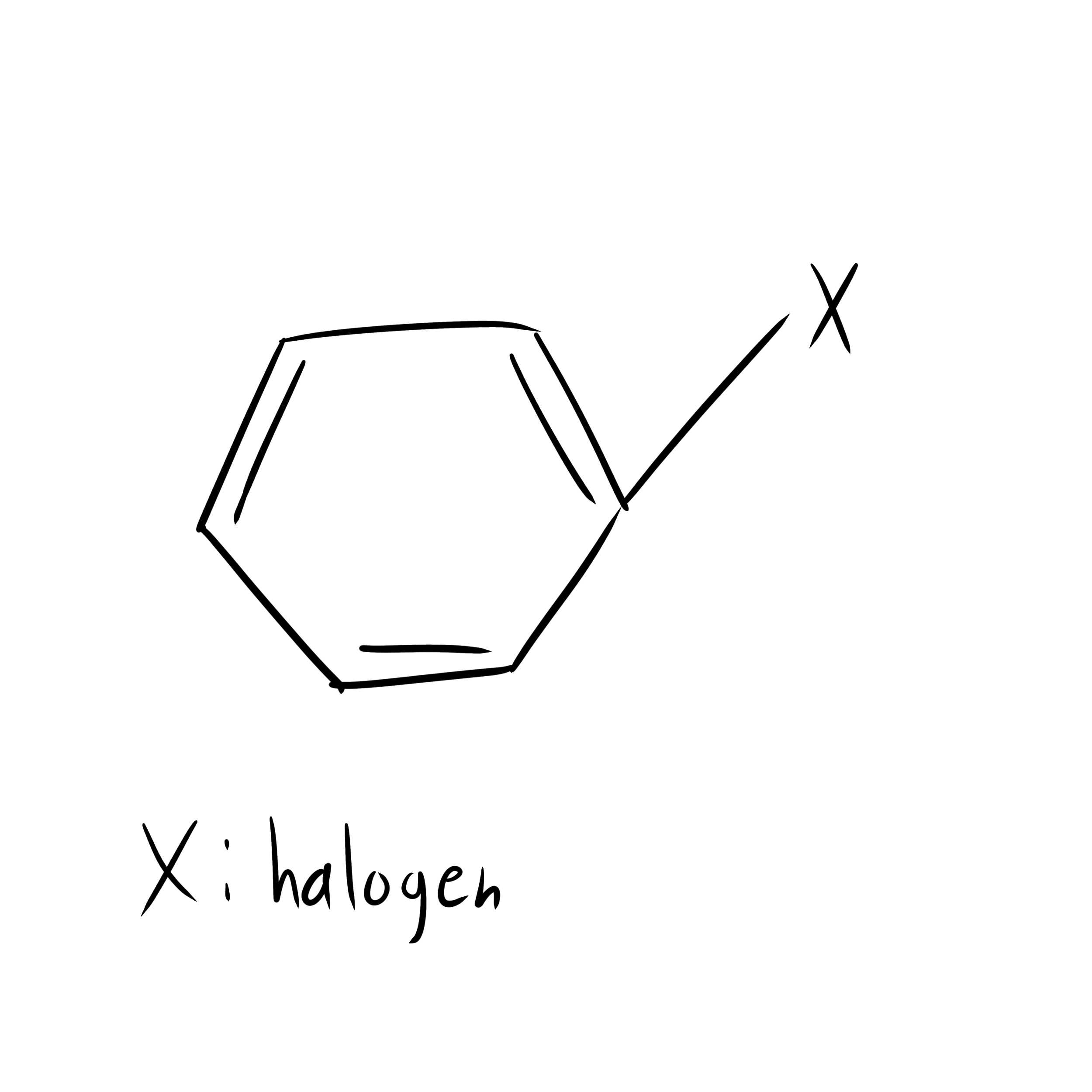 <p>a type of halide that has a halogen atom bound to a benzene ring</p>
