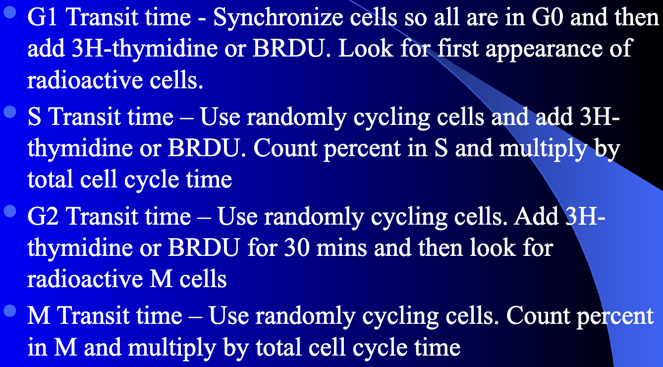 <p><span><span>No difference </span></span></p>