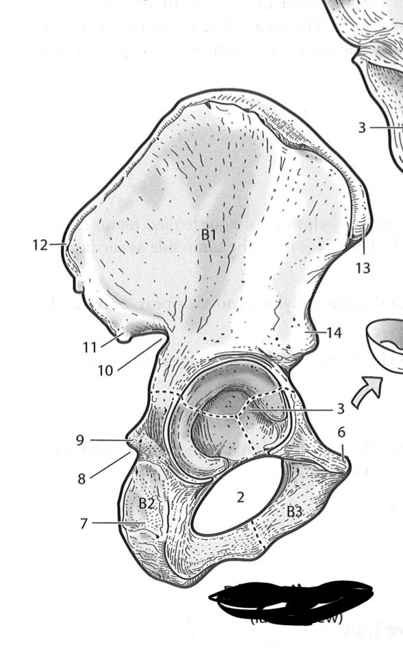 <p>7</p>