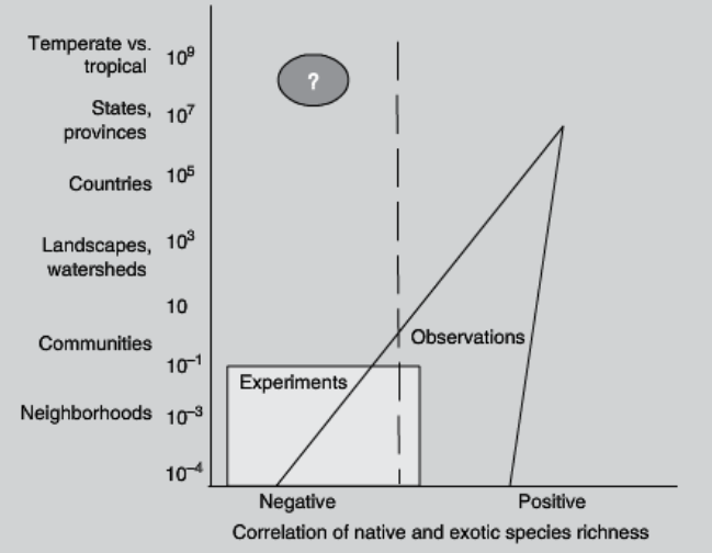 <p>small scale studies show that species richness decreases invasibility. Large scale studies show that species richness increase invasibility. Graphically, to a certain point, you get more variability and mostly negative. But as you let larger, diversity decreases, and it very quickly becomes a positive correlation</p>