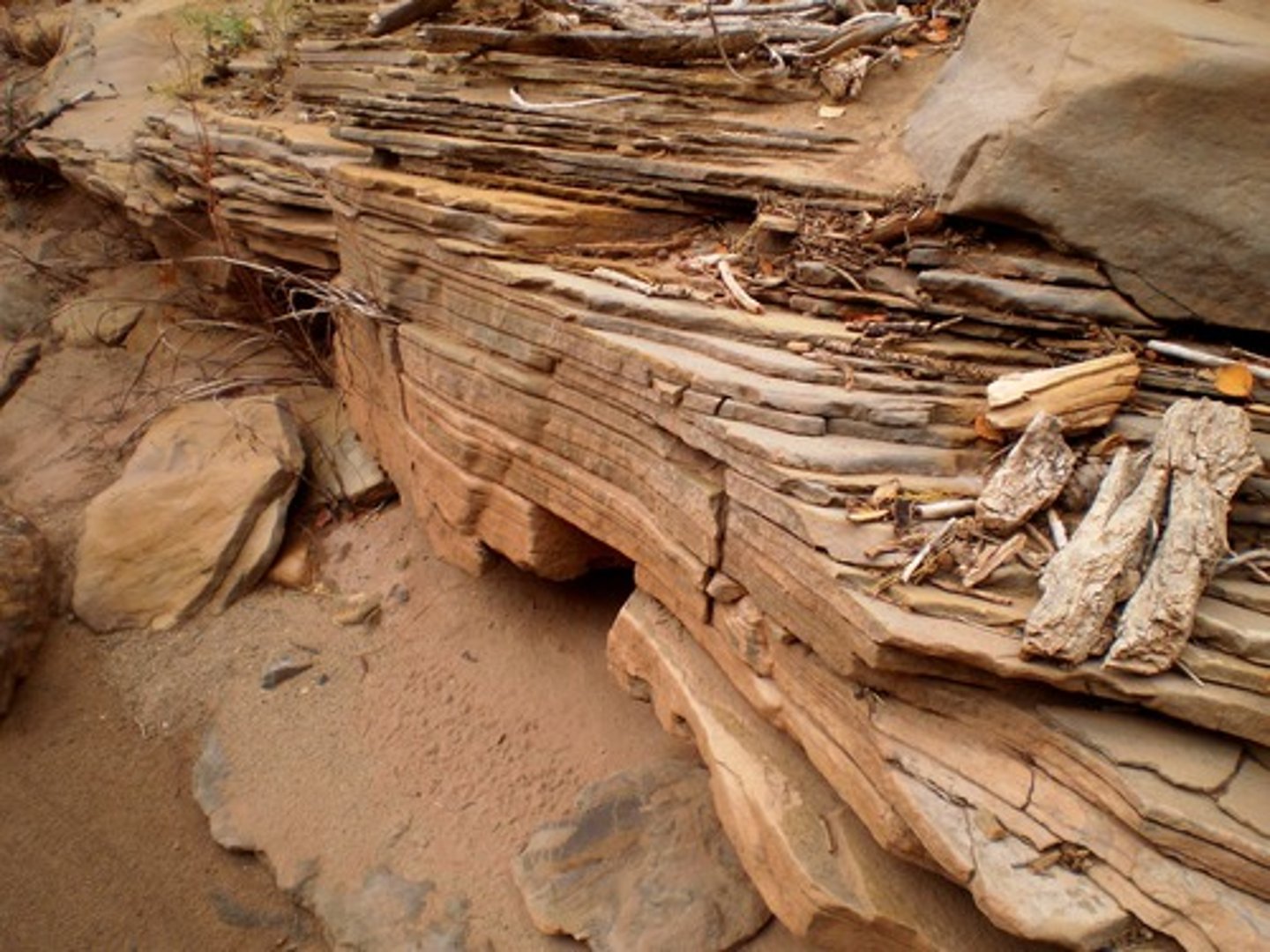 <p>within a sedimentary rock, these represent the points where layers of sediment accumulates; they may later form horizontal weaknesses within the rock along which water may penetrate</p>