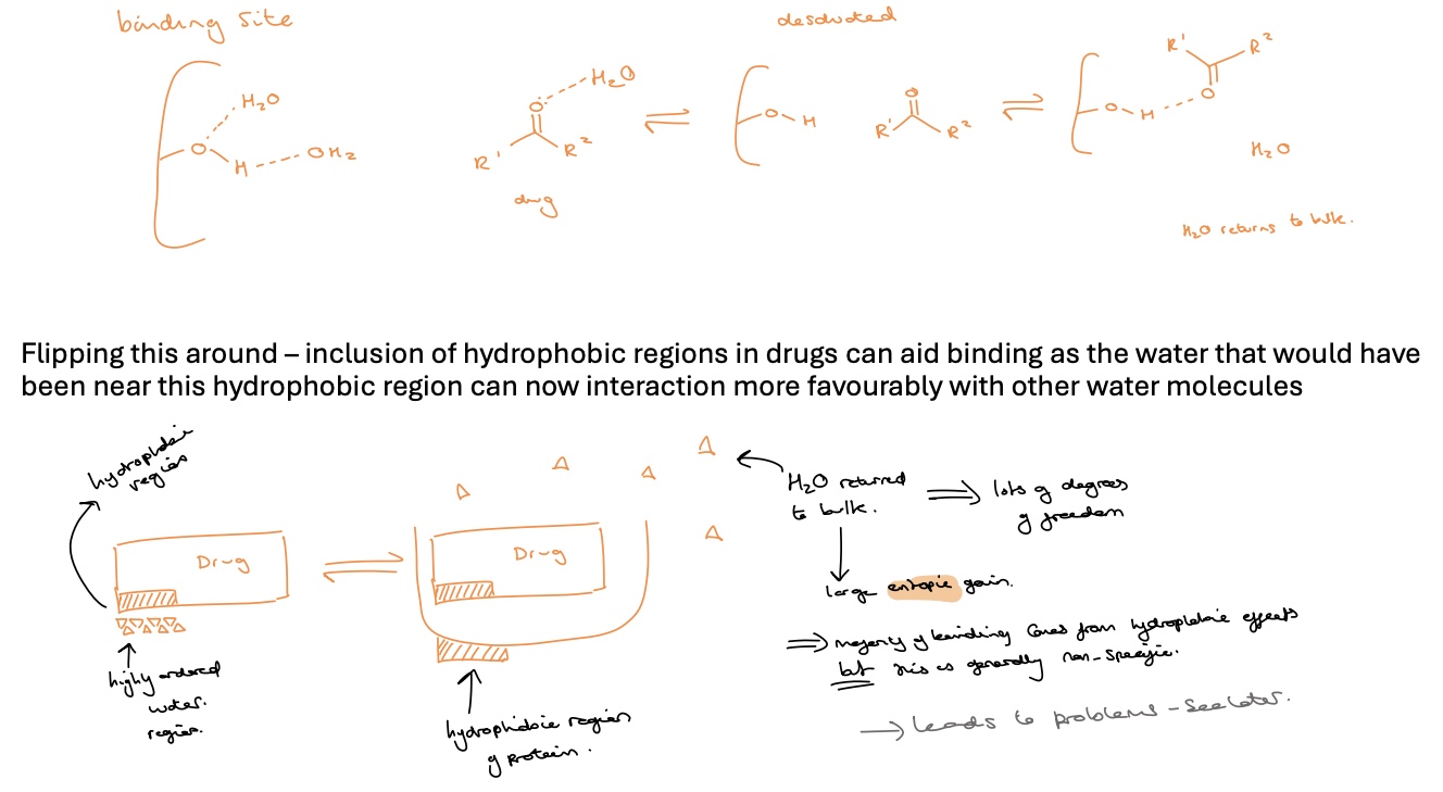 <ul><li><p>an <strong><u>entropic</u></strong> effect </p></li><li><p>the water molecules surrounding the drug have to be stripped away before other interactions can take place </p></li><li><p>this takes energy and if energy is required to desolvate both the drug and the binding site is greater than the stabilisation energy gained from the binding interactions then the drug may be ineffective </p></li><li><p>however<u> inclusion of hydrophobic regions in drugs can aid binding as the water that would have been near this hydrophobic region can now interact more favourably with other water molecules</u> </p></li><li><p>water returned to bulk (from hydrophobic region on drug- highly ordered water region) when drug and protein bind create lots of degrees of freedom in water therefore a large entropic gain </p></li><li><p>majority of binding comes from hydrophobic effects but this is generally non-specific </p></li></ul><p></p>