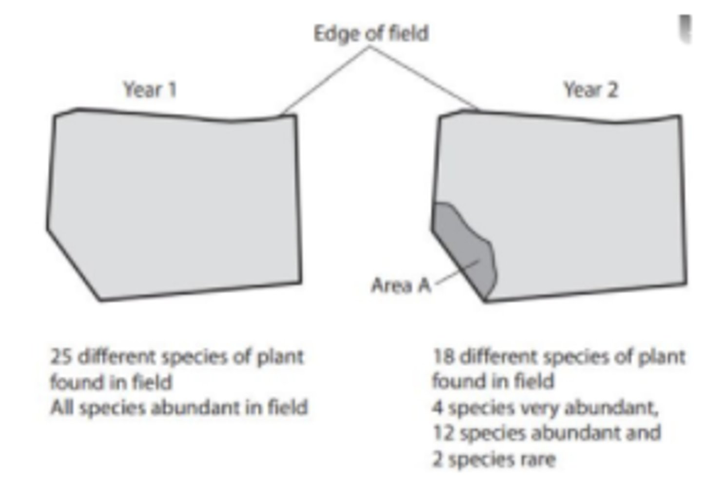 <p>- Year 1<br>- More species present in year 1 / greater variety of species</p>