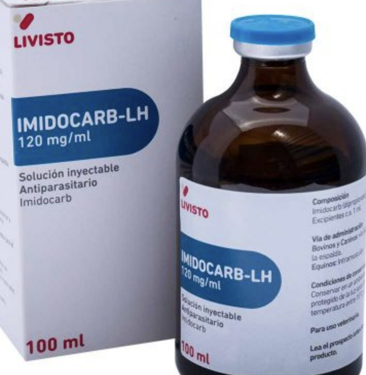 <p>with imidocarb:</p><p>-b. caballi: 2.2mg/kg IM daily for 2 days (easier to clear)</p><p>-t. equi: 4mg/kg IM q72hrs for 4 tx's (harder to clear- and toxicity may occur at higher doses of imidocarb)</p>