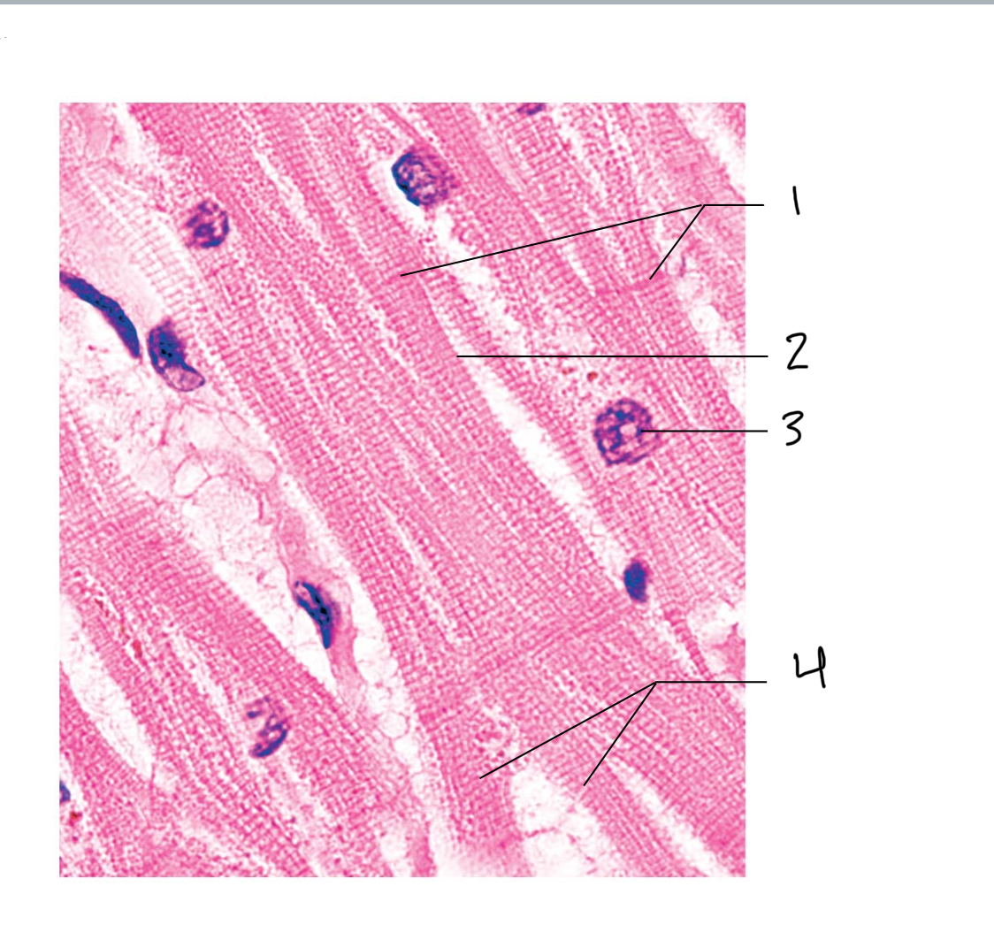 <p>2</p>