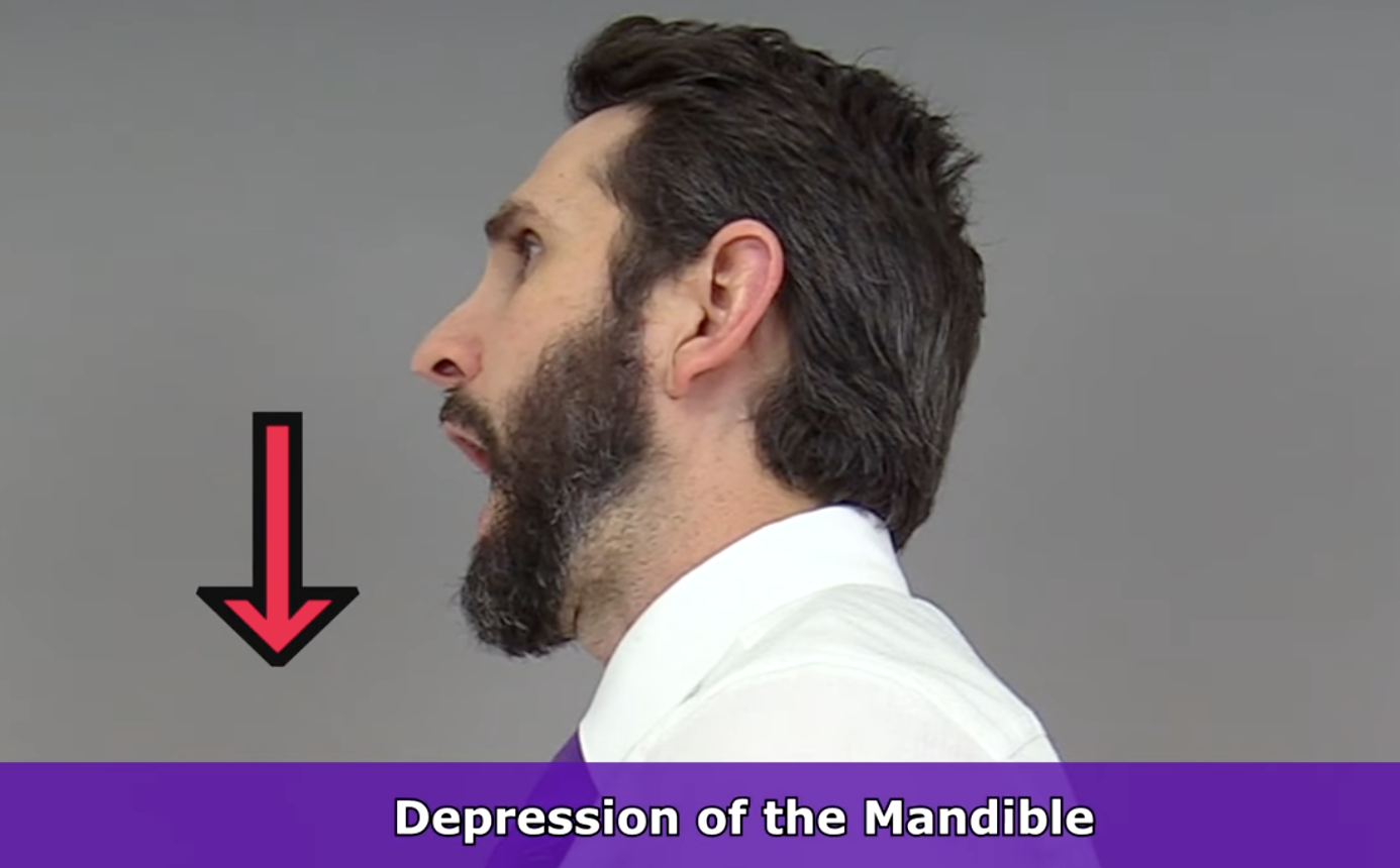 <p>mouth open (WOAH FACE)</p>