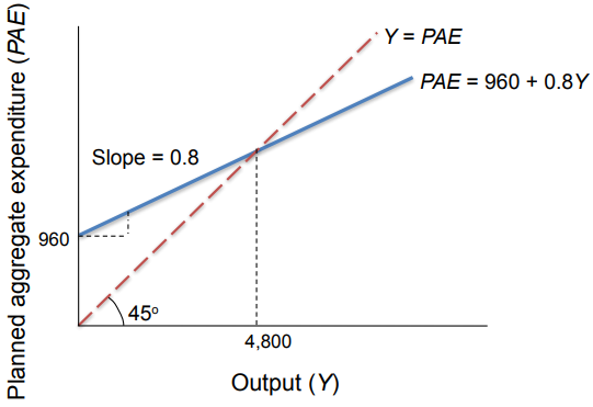 <p>Short-run equilibrium is the level of output at which planned spending is equal to output</p><ul><li><p><span>No change in output as long as prices are constant</span></p></li><li><p><span>Our equilibrium condition can be written Y = PAE</span></p></li></ul><p></p>