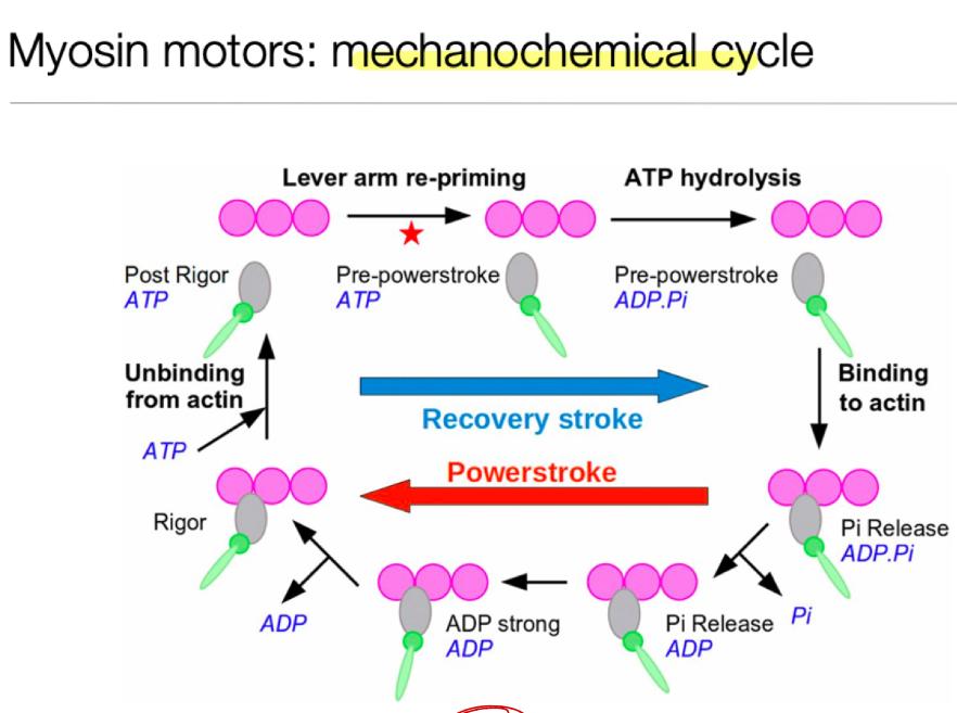 <p>did u look at it</p>