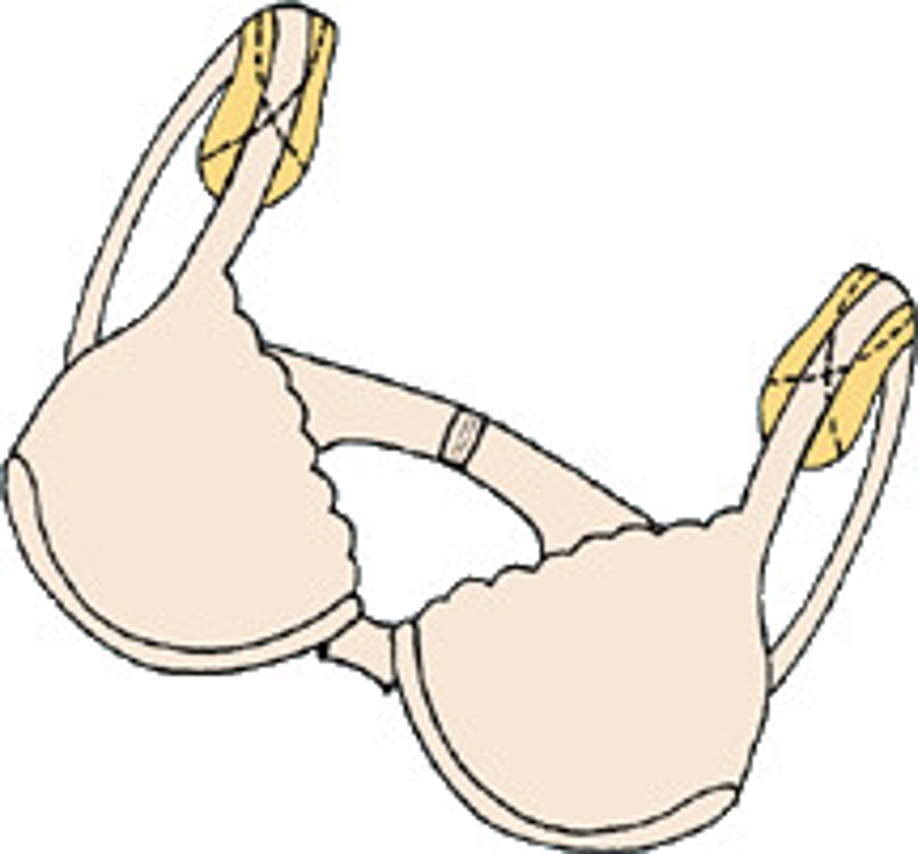 <p>bra</p>