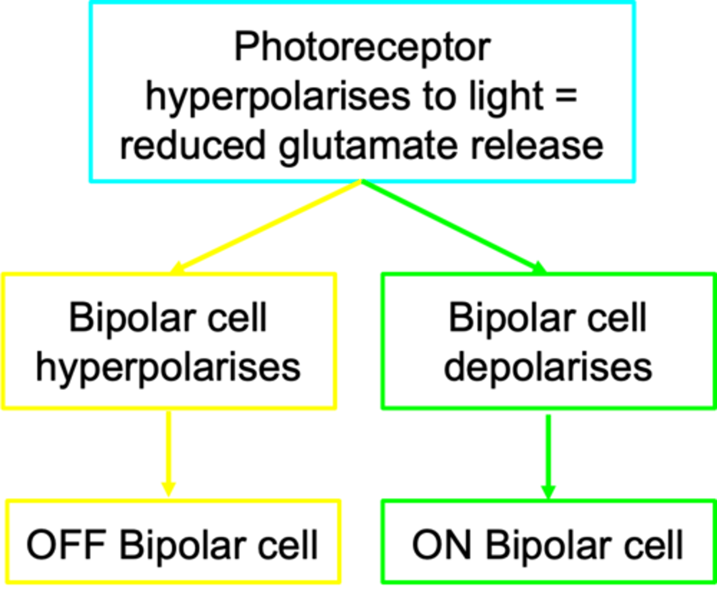 <p>This is classified based on bipolar response to _____________</p>