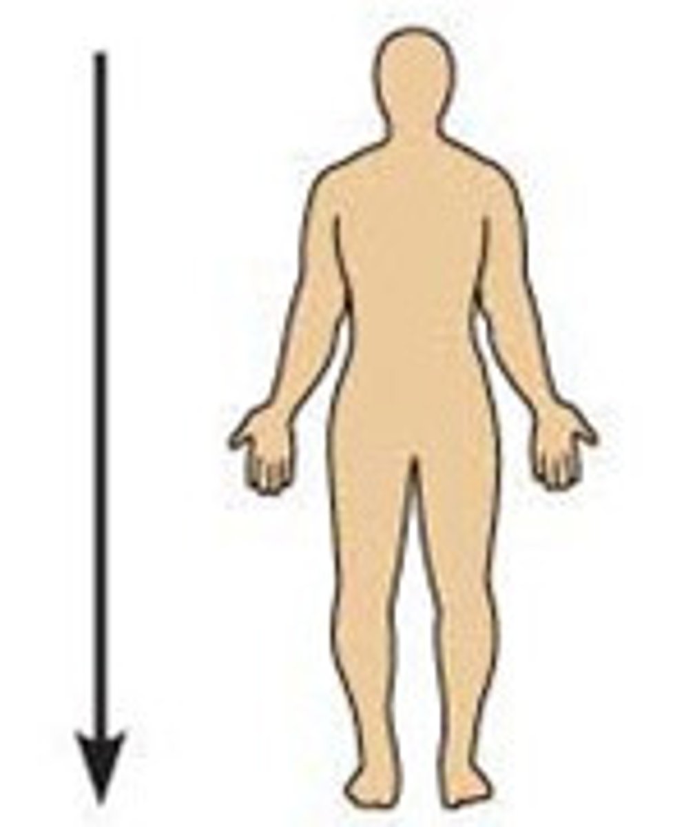 <p>Away from the head end or toward the lower part of a structure or the body; below</p>