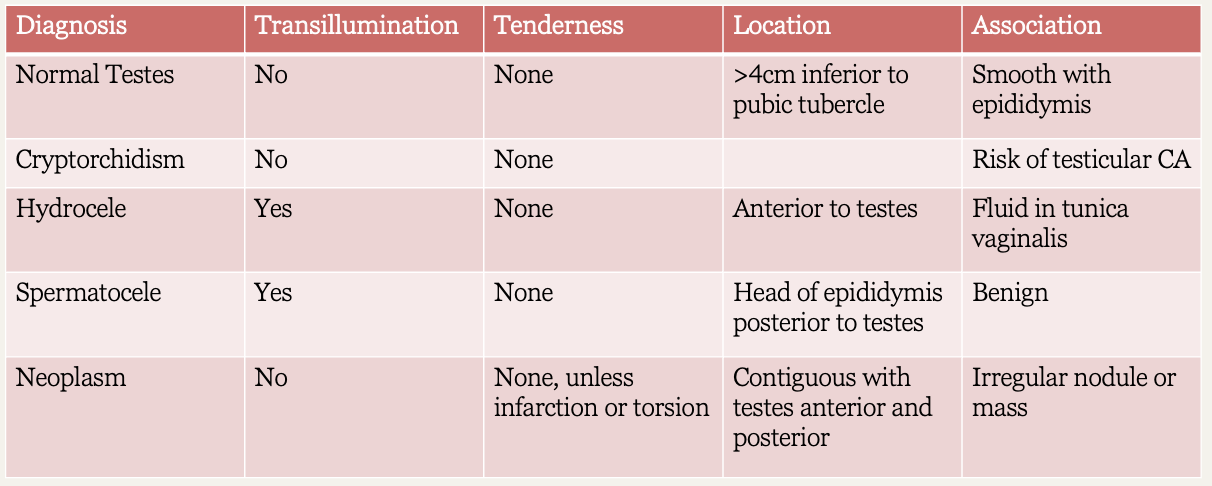 <p>Scrotal diagnosis chart</p>