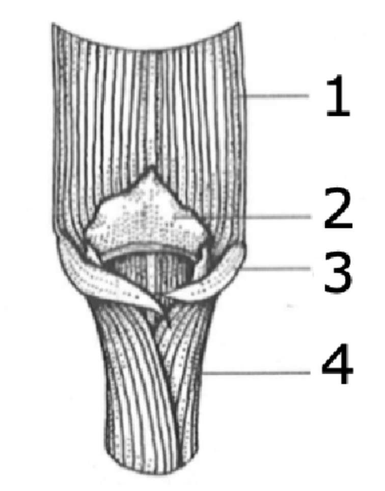 <p>what is 4?</p>