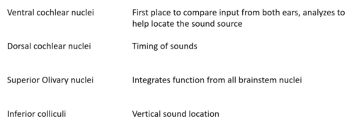 <p>match ventral cochlear nuclei to its function</p>