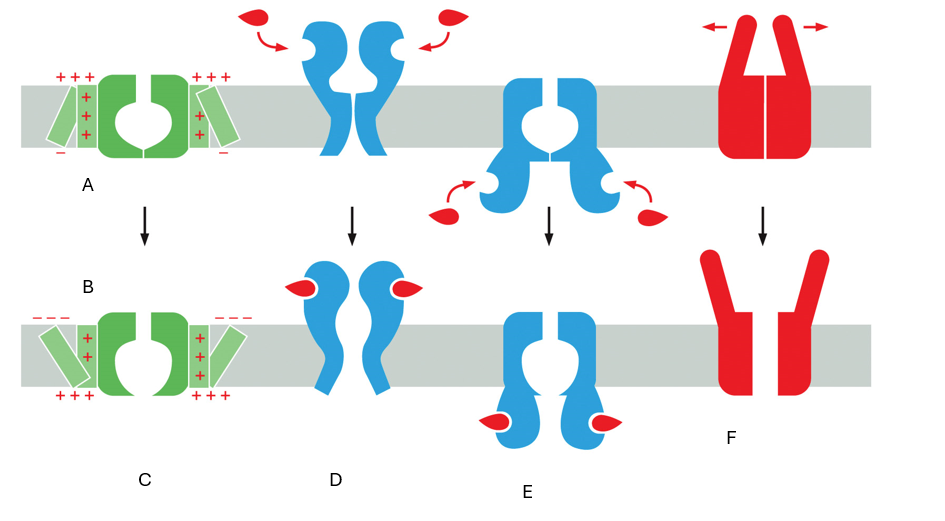 <p>What is A?</p>