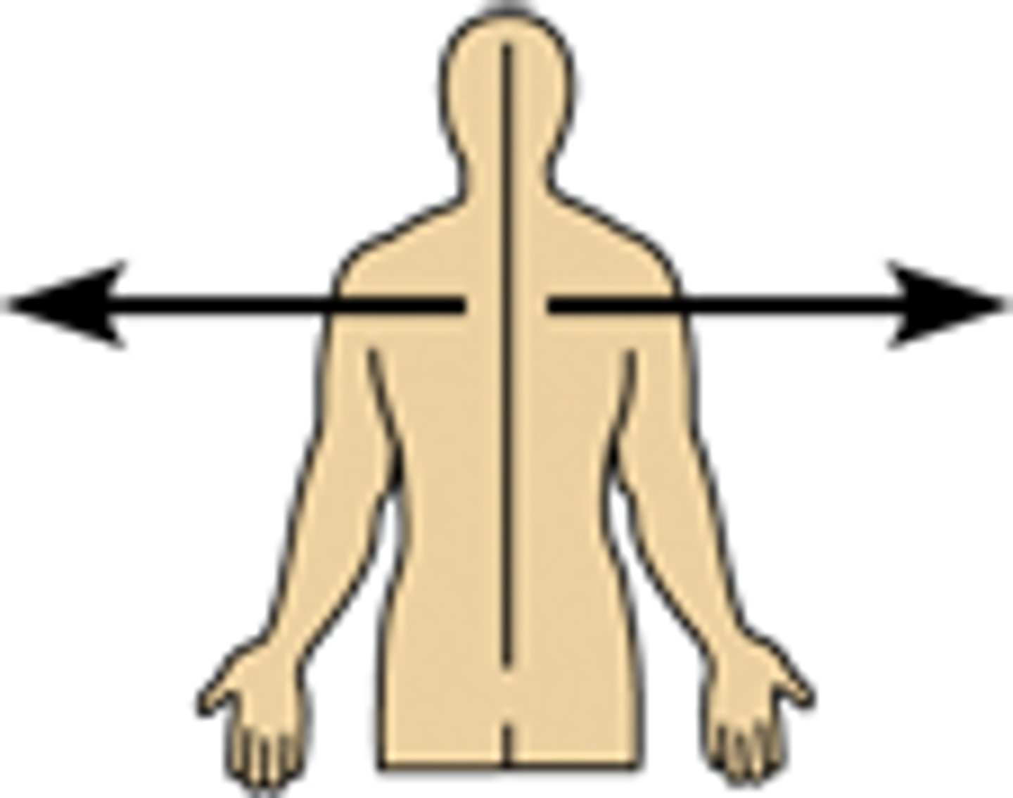 <p>the arms are _____ to the chest</p><p>away from the midline of the body; ON THE OUTER SIDE OF</p>