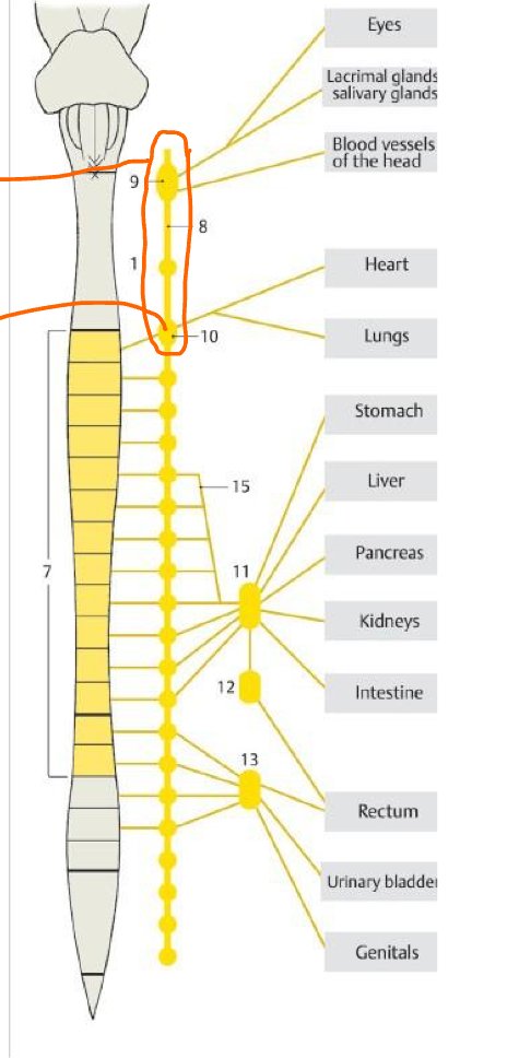 <p>What is the circle enclosing?</p>
