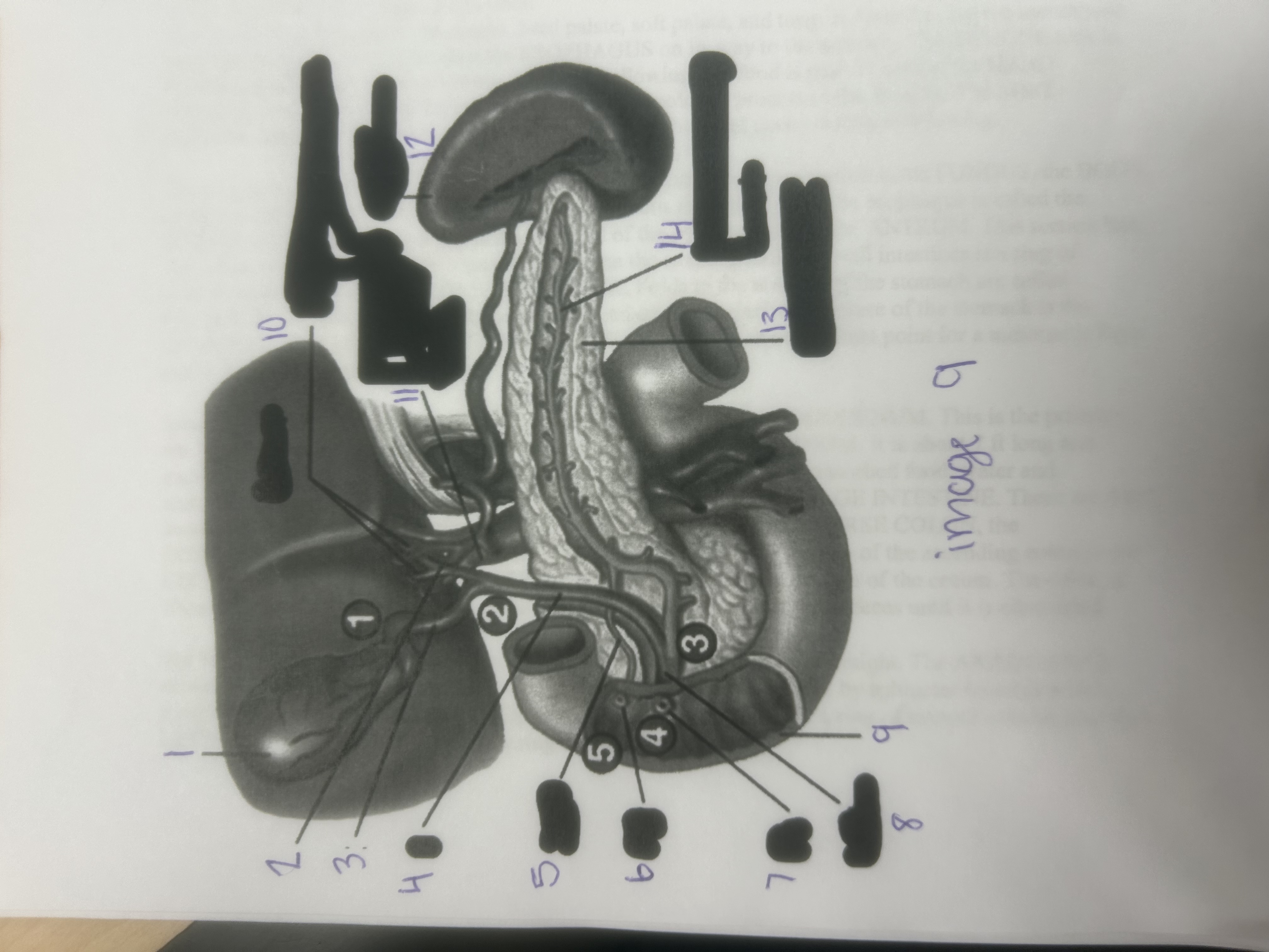 <p>13</p>