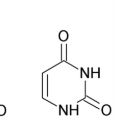 <p>What nitrogenous base is this?</p>