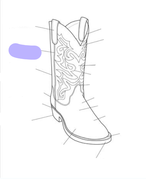 <p>What part of the boot is this? (labeled in purple)</p>