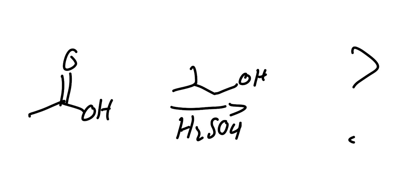 <p>Mechanism</p>