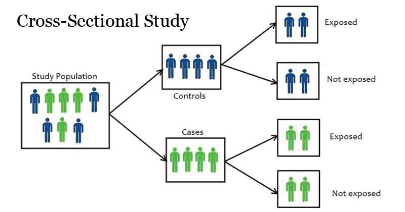 <p></p><p>a cross section of the population of interest (i.e., a representative sample) is tested at one specific time, and the differences between subgroups from that sample are compared.</p><p>Allows for quick data collection from a large population, facilitating the examination of relationships between variables at a specific point in time without requiring long-term follow-up. Provides insights into prevalence and associations of health outcomes. </p><p></p>