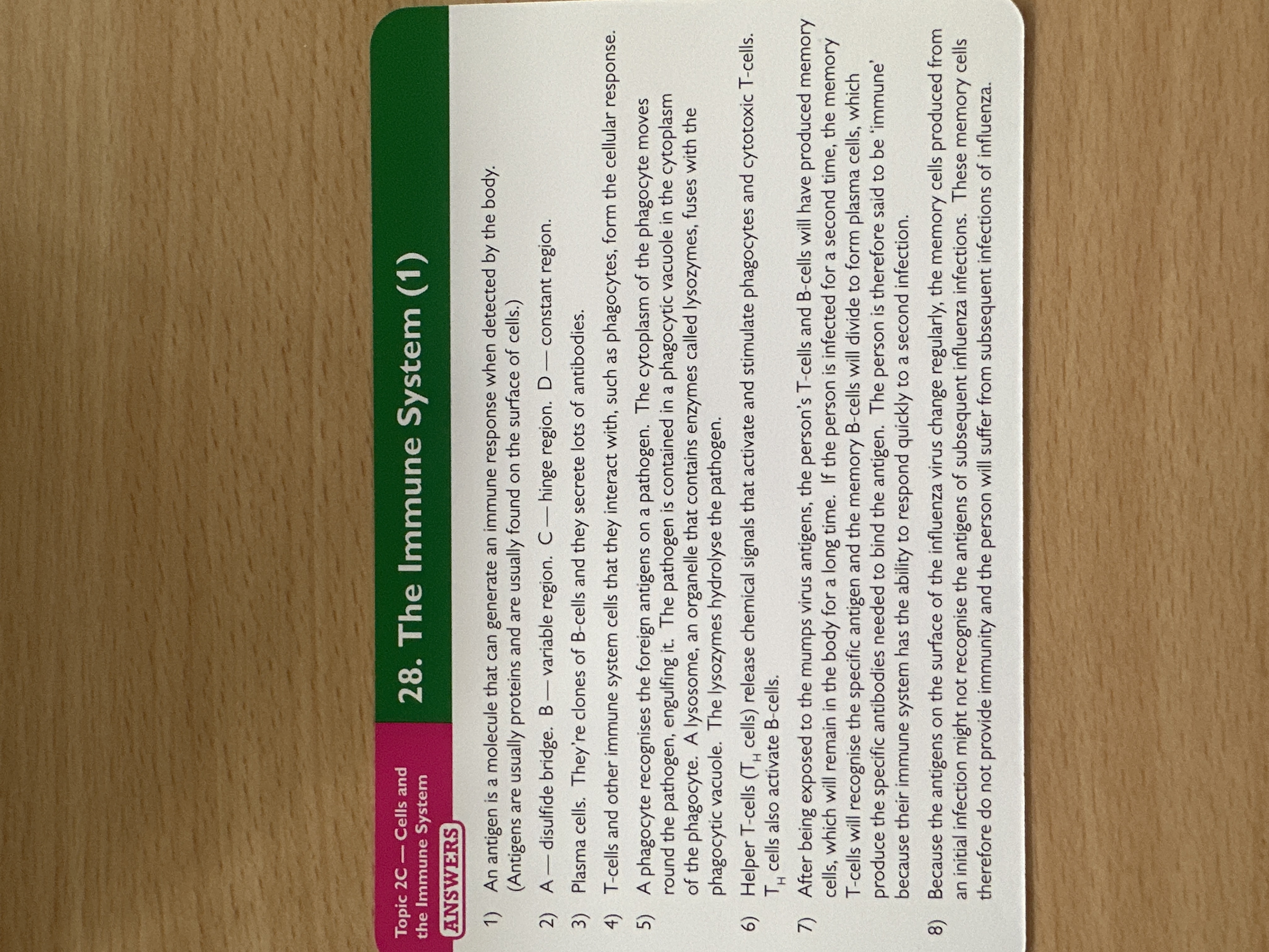 knowt flashcard image