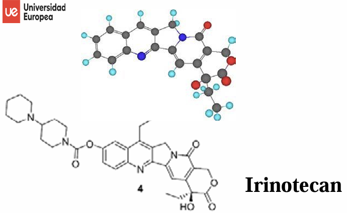<p>Es un antitumoral (topoisomerasa I como diana terapéutica) que se emplea en el cáncer colorrectal avanzado combinado con 5-Fluorouracilo en pacientes sin quimioterapia anterior o bien en monoterapia para pacientes que han fracasado a un régimen anterior con 5-Fluorouracilo</p>
